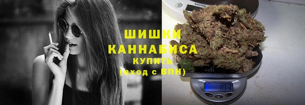 хмурый Гусев