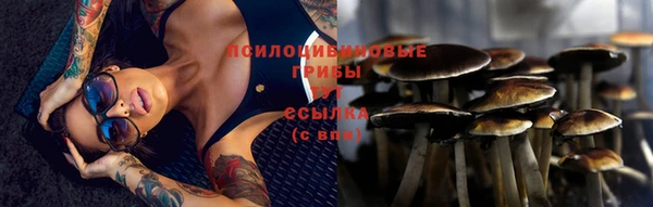 хмурый Гусев