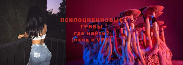 стафф Дмитровск