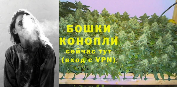 дурь Гусь-Хрустальный