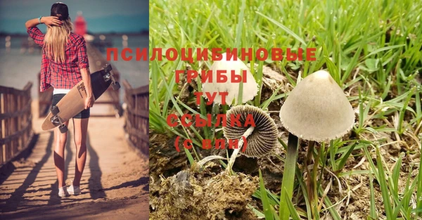 гидропоника Дмитриев
