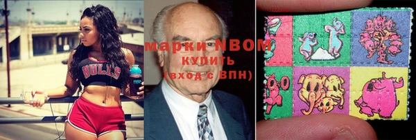 стафф Дмитровск