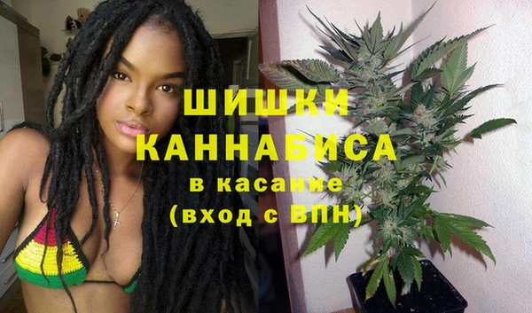 хмурый Гусев