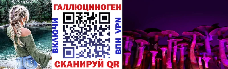 Галлюциногенные грибы мицелий  omg как зайти  Ясногорск 